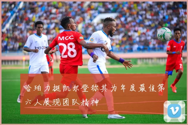 哈珀力挺凯尔登称其为年度最佳第六人展现团队精神
