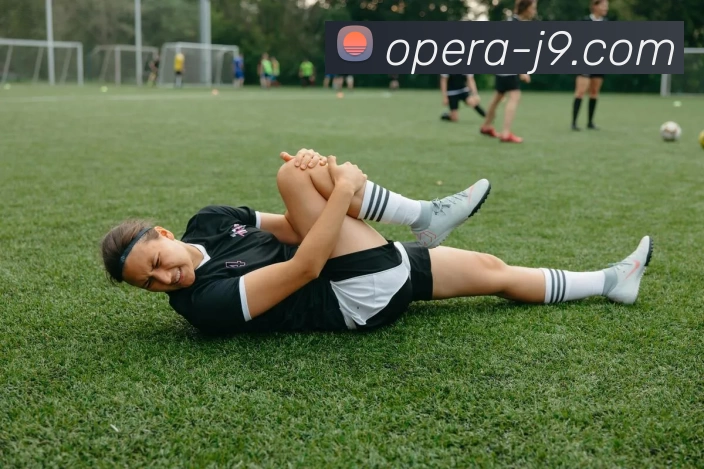 九游体育APP 封面图